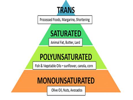 best type of fat facts on fats article 7