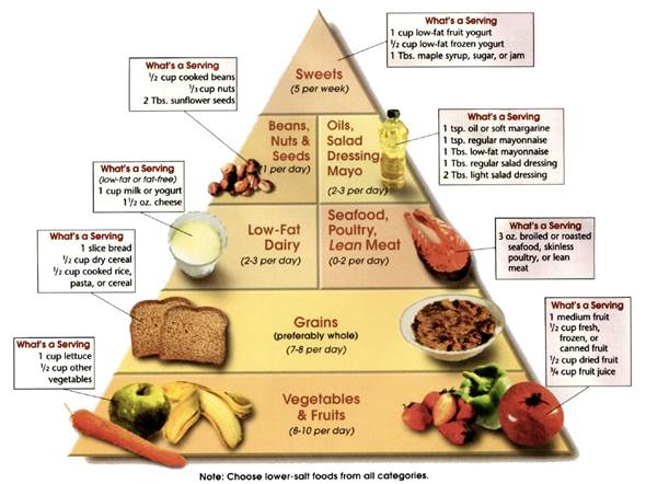 the DASH diet pyramid