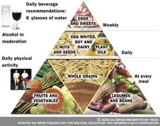 vegetarian diet pyramid