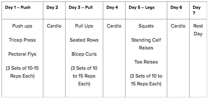 Push Pull Legs Routine 1