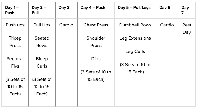 Push Pull Legs Routine 2