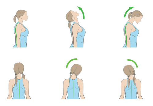 neck stretches