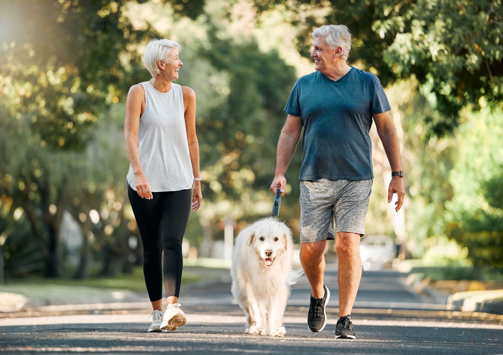 Senior couple going for a walk, with their dog in a park